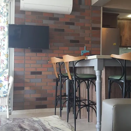 Arife Didyma Appartement Didim